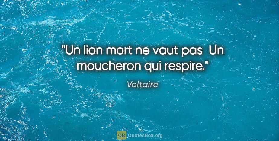 Voltaire citation: "Un lion mort ne vaut pas  Un moucheron qui respire."
