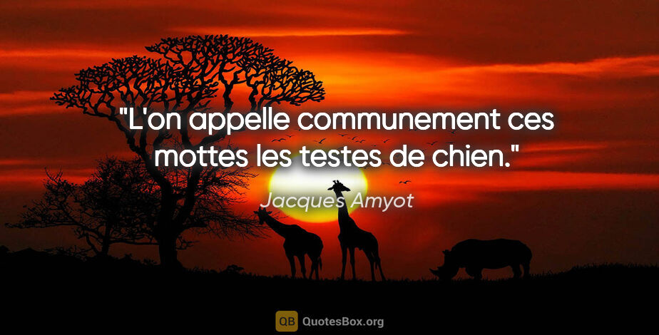 Jacques Amyot citation: "L'on appelle communement ces mottes les testes de chien."