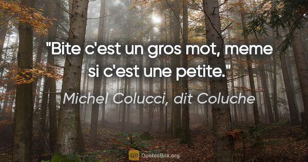 Michel Colucci, dit Coluche citation: "Bite c'est un gros mot, meme si c'est une petite."