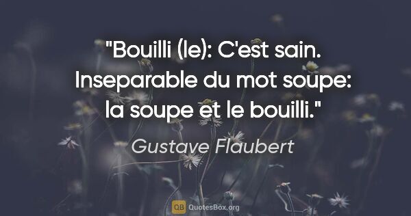 Gustave Flaubert citation: "Bouilli (le): C'est sain. Inseparable du mot soupe: la soupe..."