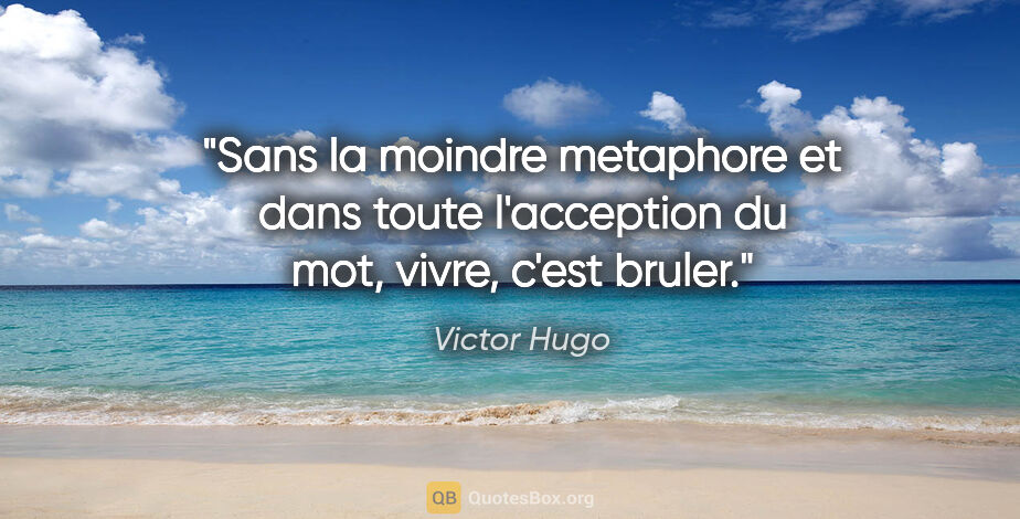 Victor Hugo citation: "Sans la moindre metaphore et dans toute l'acception du mot,..."