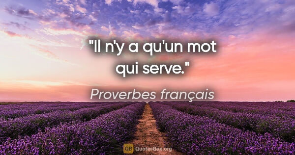 Proverbes français citation: "Il n'y a qu'un mot qui serve."