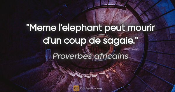 Proverbes africains citation: "Meme l'elephant peut mourir d'un coup de sagaie."