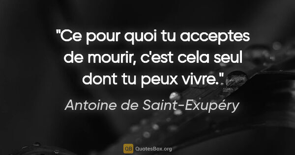 Antoine de Saint-Exupéry citation: "Ce pour quoi tu acceptes de mourir, c'est cela seul dont tu..."