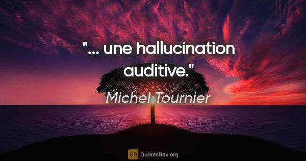 Michel Tournier citation: "... une hallucination auditive."