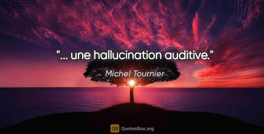 Michel Tournier citation: "... une hallucination auditive."