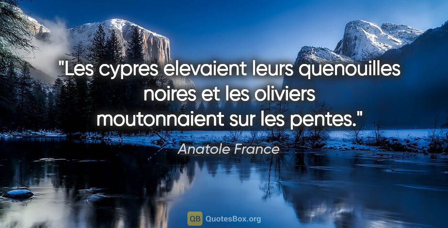 Anatole France citation: "Les cypres elevaient leurs quenouilles noires et les oliviers..."