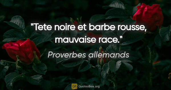 Proverbes allemands citation: "Tete noire et barbe rousse, mauvaise race."