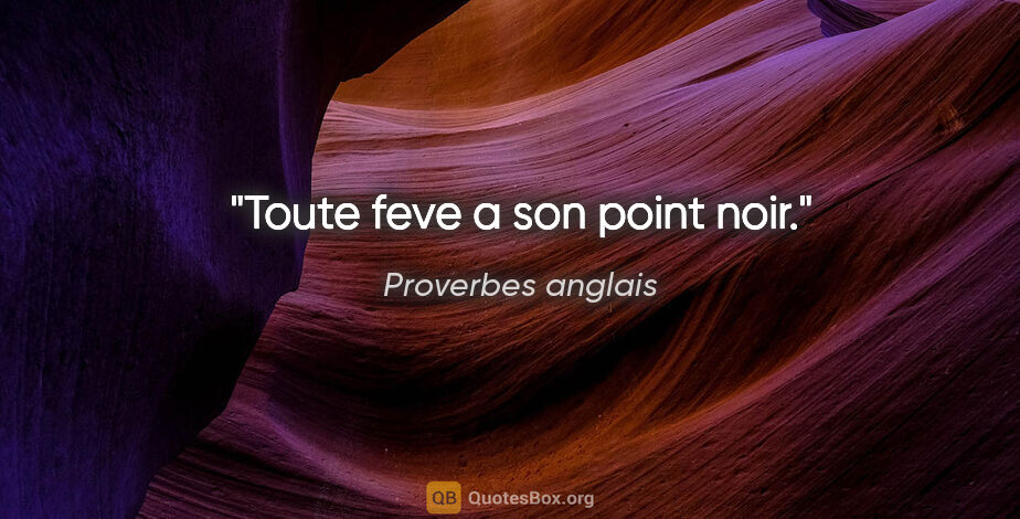 Proverbes anglais citation: "Toute feve a son point noir."