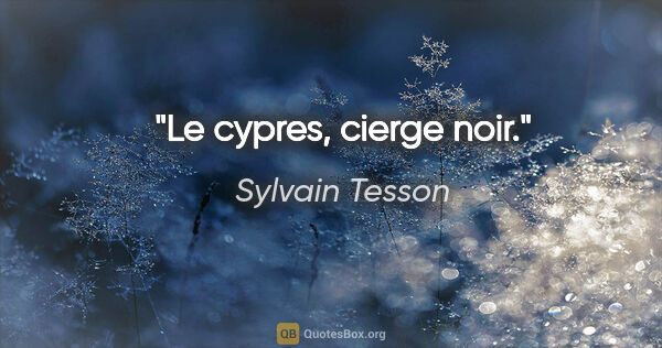 Sylvain Tesson citation: "Le cypres, cierge noir."