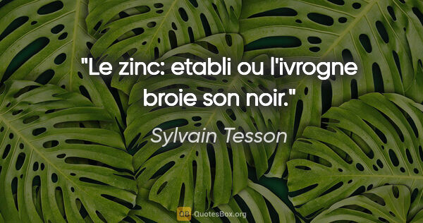 Sylvain Tesson citation: "Le zinc: etabli ou l'ivrogne broie son noir."