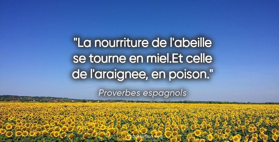 Proverbes espagnols citation: "La nourriture de l'abeille se tourne en miel.Et celle de..."