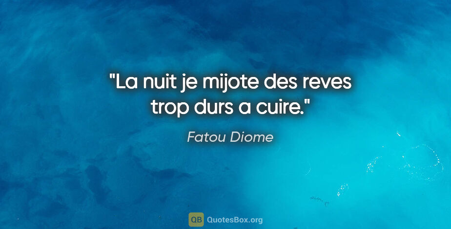 Fatou Diome citation: "La nuit je mijote des reves trop durs a cuire."