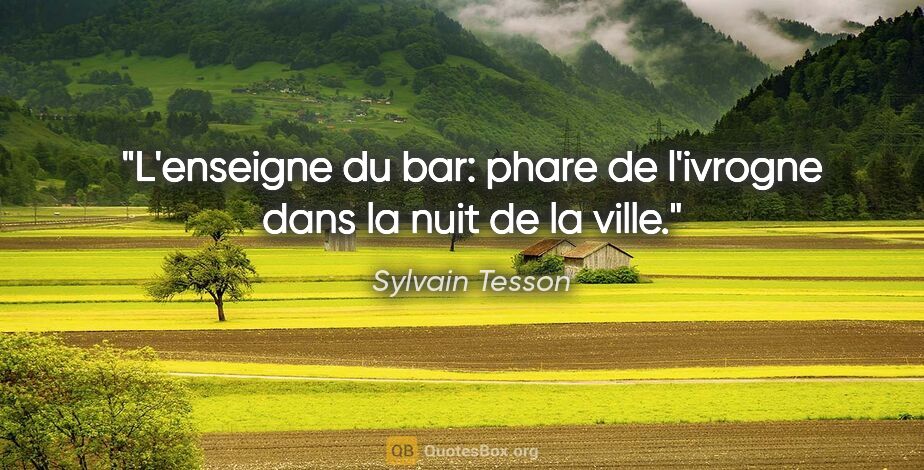 Sylvain Tesson citation: "L'enseigne du bar: phare de l'ivrogne dans la nuit de la ville."