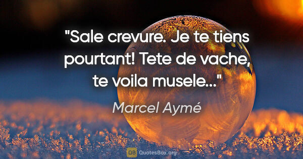 Marcel Aymé citation: "Sale crevure. Je te tiens pourtant! Tete de vache, te voila..."