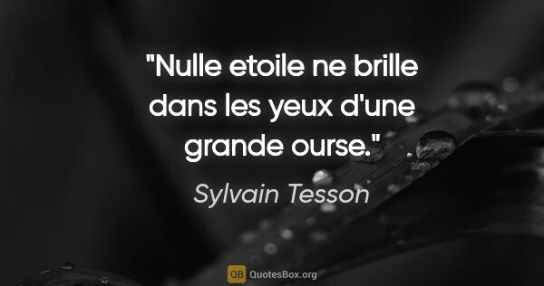 Sylvain Tesson citation: "Nulle etoile ne brille dans les yeux d'une grande ourse."