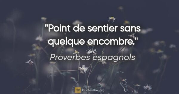 Proverbes espagnols citation: "Point de sentier sans quelque encombre."