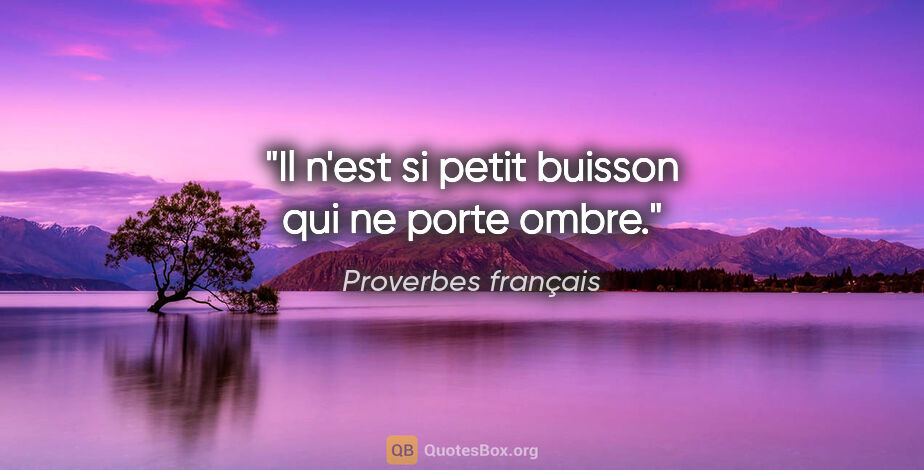 Proverbes français citation: "Il n'est si petit buisson qui ne porte ombre."
