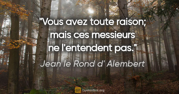 Jean le Rond d' Alembert citation: "Vous avez toute raison; mais ces messieurs ne l'entendent pas."