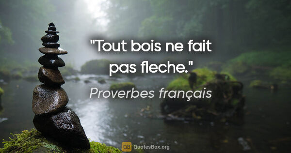Proverbes français citation: "Tout bois ne fait pas fleche."