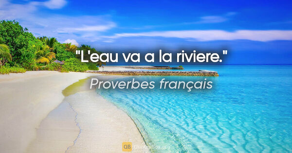 Proverbes français citation: "L'eau va a la riviere."