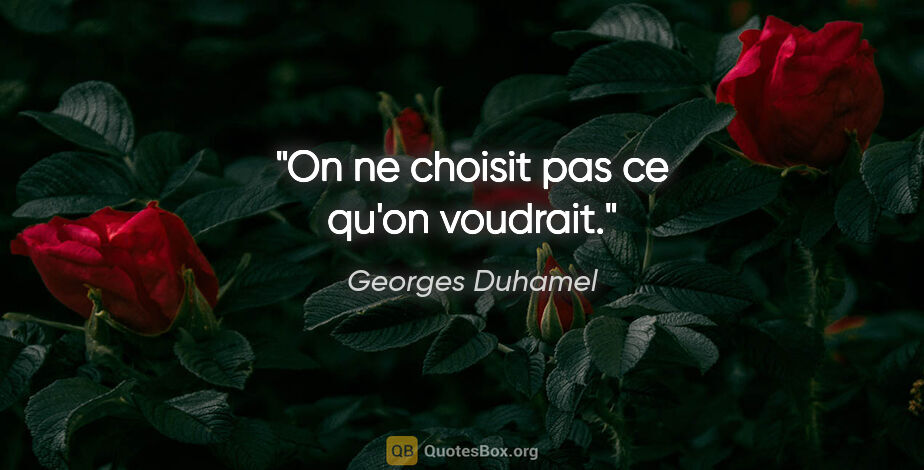 Georges Duhamel citation: "On ne choisit pas ce qu'on voudrait."
