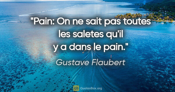 Gustave Flaubert citation: "Pain: On ne sait pas toutes les saletes qu'il y a dans le pain."