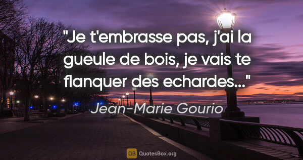 Jean-Marie Gourio citation: "Je t'embrasse pas, j'ai la gueule de bois, je vais te flanquer..."