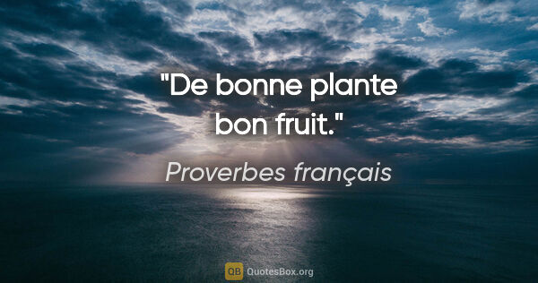 Proverbes français citation: "De bonne plante bon fruit."