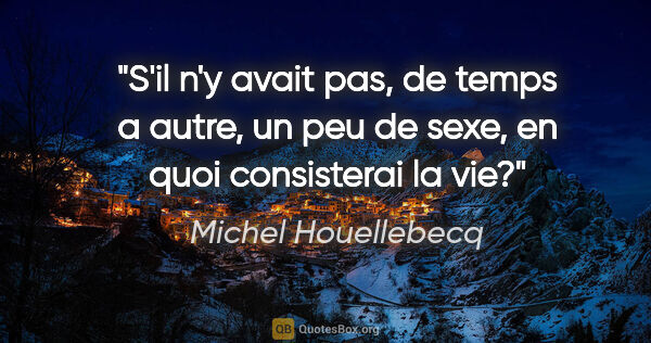 Michel Houellebecq citation: "S'il n'y avait pas, de temps a autre, un peu de sexe, en quoi..."
