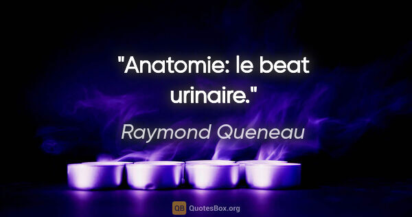 Raymond Queneau citation: "Anatomie: le beat urinaire."