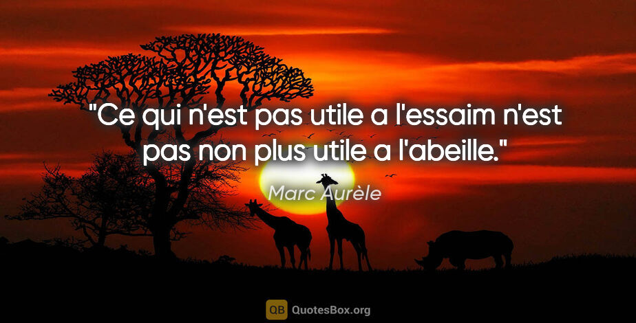 Marc Aurèle citation: "Ce qui n'est pas utile a l'essaim n'est pas non plus utile a..."