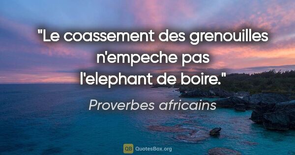 Proverbes africains citation: "Le coassement des grenouilles n'empeche pas l'elephant de boire."