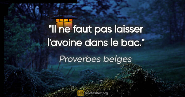 Proverbes belges citation: "Il ne faut pas laisser l'avoine dans le bac."