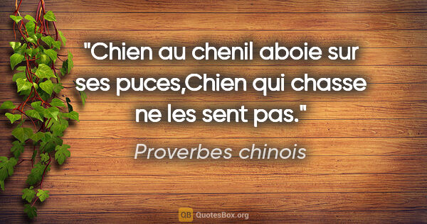 Proverbes chinois citation: "Chien au chenil aboie sur ses puces,Chien qui chasse ne les..."