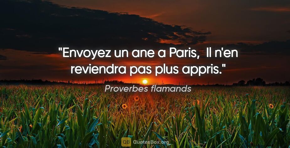 Proverbes flamands citation: "Envoyez un ane a Paris,  Il n'en reviendra pas plus appris."