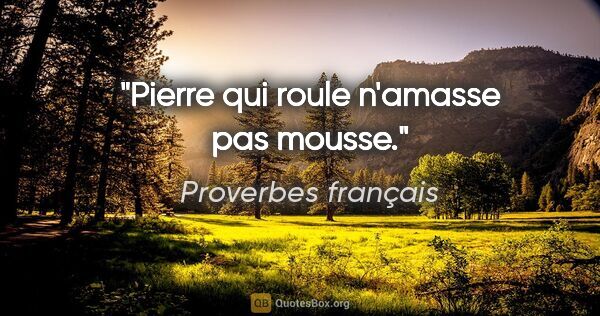 Proverbes français citation: "Pierre qui roule n'amasse pas mousse."