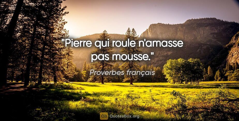 Proverbes français citation: "Pierre qui roule n'amasse pas mousse."