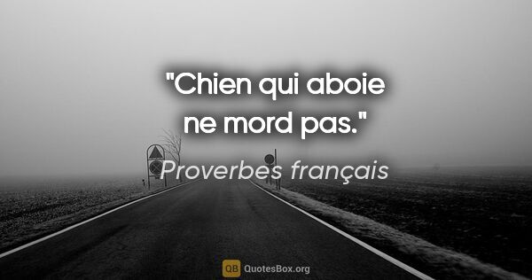 Proverbes français citation: "Chien qui aboie ne mord pas."