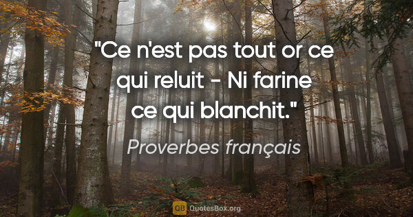 Proverbes français citation: "Ce n'est pas tout or ce qui reluit - Ni farine ce qui blanchit."