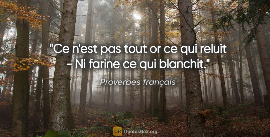 Proverbes français citation: "Ce n'est pas tout or ce qui reluit - Ni farine ce qui blanchit."