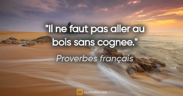 Proverbes français citation: "Il ne faut pas aller au bois sans cognee."