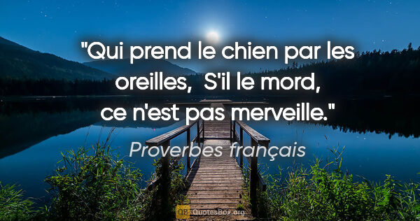 Proverbes français citation: "Qui prend le chien par les oreilles,  S'il le mord, ce n'est..."