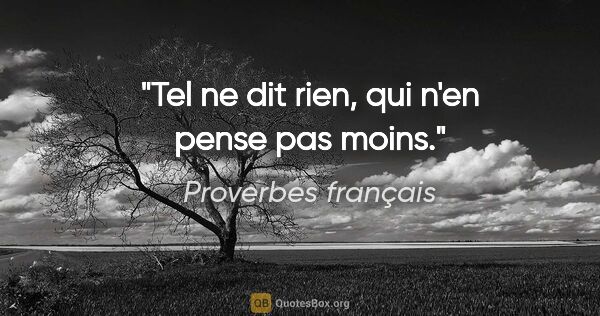Proverbes français citation: "Tel ne dit rien, qui n'en pense pas moins."