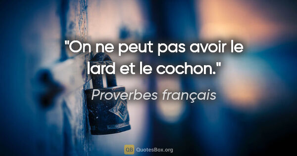 Proverbes français citation: "On ne peut pas avoir le lard et le cochon."