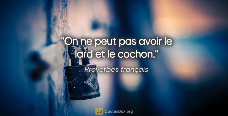 Proverbes français citation: "On ne peut pas avoir le lard et le cochon."