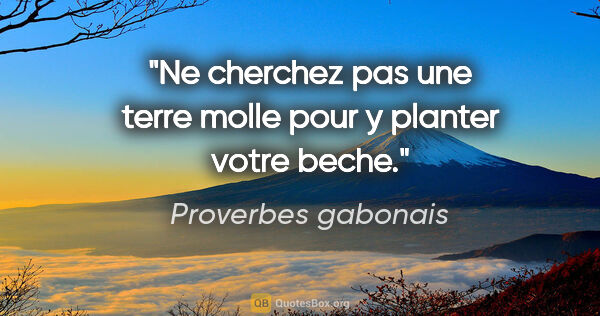 Proverbes gabonais citation: "Ne cherchez pas une terre molle pour y planter votre beche."
