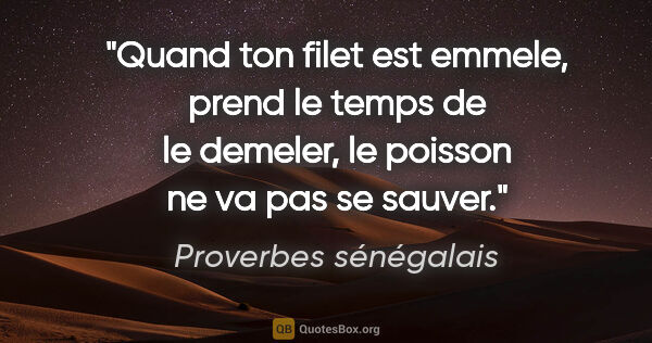 Proverbes sénégalais citation: "Quand ton filet est emmele, prend le temps de le demeler, le..."