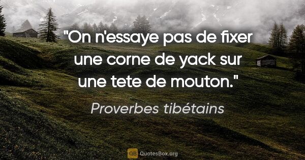 Proverbes tibétains citation: "On n'essaye pas de fixer une corne de yack sur une tete de..."