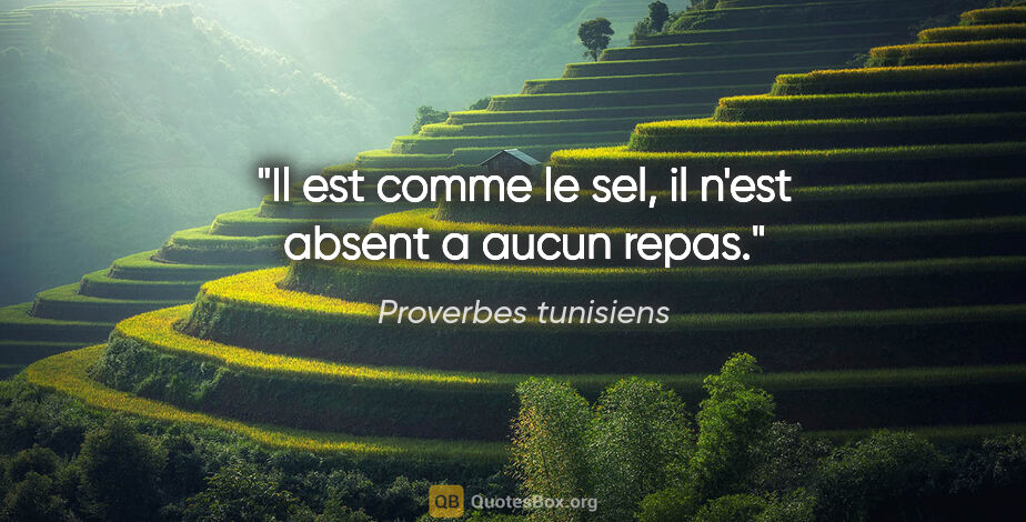 Proverbes tunisiens citation: "Il est comme le sel, il n'est absent a aucun repas."